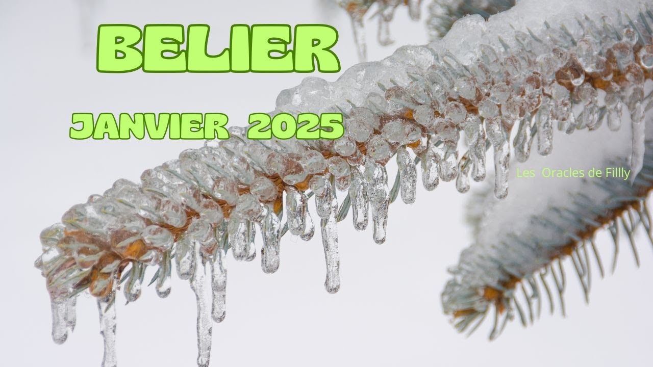 BELIER ♈️ JANVIER 2025.. PRENEZ LA VIE COMME ELLE VIENT ET PROFITEZ