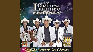 Video thumbnail of "Los Charros de Lumaco - Paloma Mensajera"