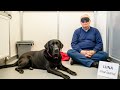 Blind Man Finds Hope in a Deaf Dog