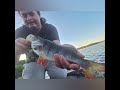 Fishing pictures compilation. #fishing ##fishinglife #freshwaterfishing #saltwaterfishing #outdoors