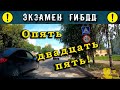 Экзамен ГИБДД. Опять двадцать пять!