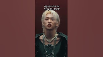 [스트레이키즈 필릭스] 아기염라 닉값 제대로 하는 용복이 동굴 저음 목소리