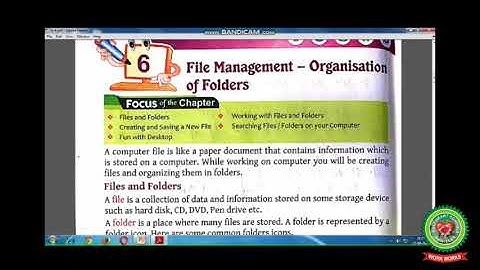Creating, Selecting and Opening a Folder |Class 3| Computer |Holy Heart Schools