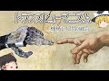 【ゆっくり解説】人と機械の融合　トランスヒューマニズムとは？