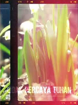 Tidak percaya Tuhan - Sujiwo Tejo