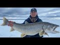 Gambar cover Clearwater Lake Trout in Northern Manitoba Stagg On The Line episode 4