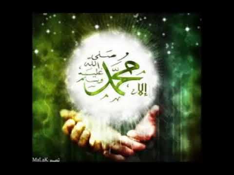 انت نور الله فجرا بدون موسيقى