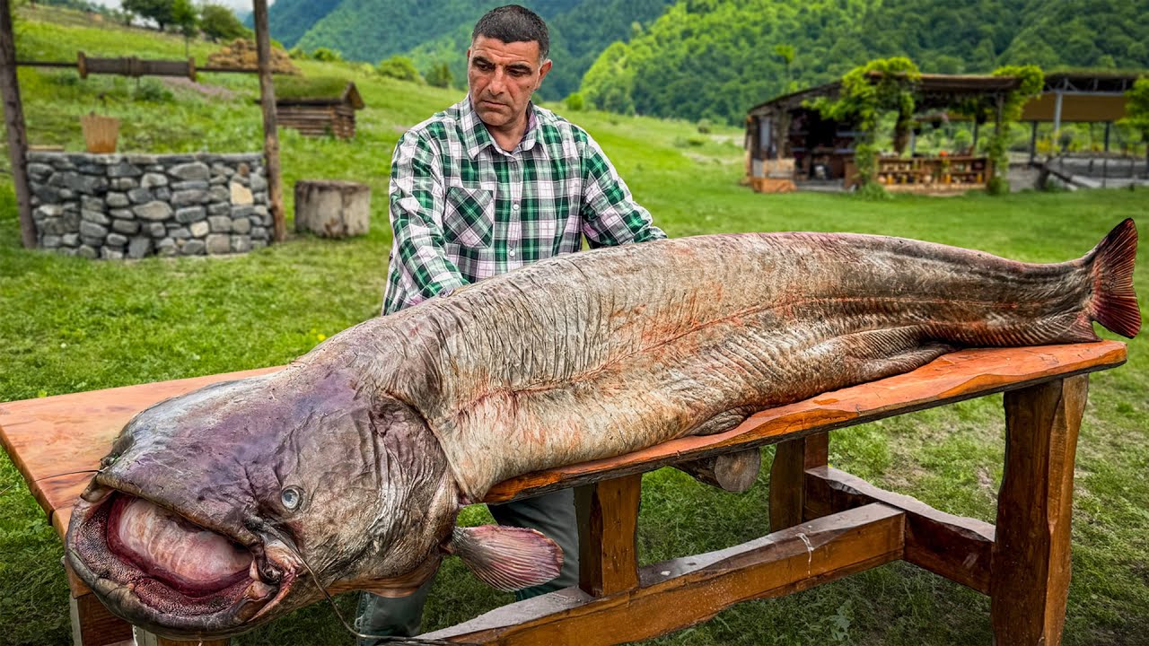 Olbrzymia ryba i kutaby z górskich ziół – gotowanie przy ognisku