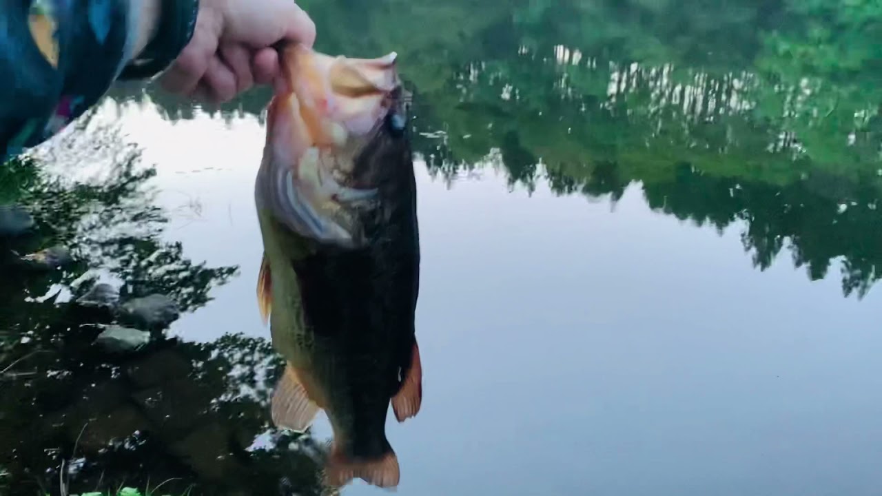 日本半周ひとり旅in青森でバス釣り 名言 Youtube