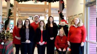 2015 Holiday Video