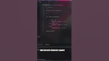 Function with Branches example in #pyt #python #code #coding #programming #new #tutorial