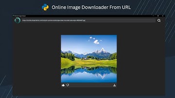 Image Searcher and Downloader With Python | Demo Video | CustomTkinter