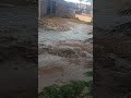 اللهم صبيا نافعا