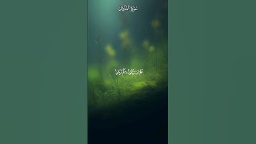 تلاوة من سورة المزمل القارئ علي جابر 💚 #المصحف #تلاوات #قرآن