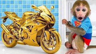 小猴子 BonBon 开着一辆超酷的大摩托车，看起来帅呆了！ | BonBon奇妙屋