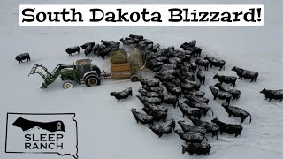 Blizzard Hits the Ranch…