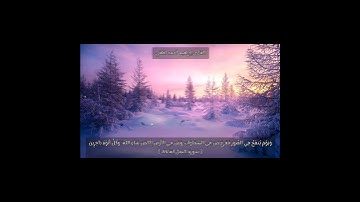 تلاوة من سورة النمل ☘🍁☘