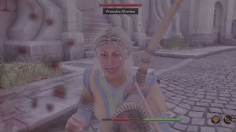 Shooting NPCS With Arrows (The Elder Scrolls IV: Oblivion Remastered)