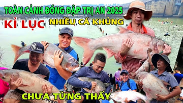 TOÀN CẢNH ĐUA NHAU BẮT CÁ LỚN TẠI ĐẬP TRỊ AN 2025 KỈ LỤC NHIỀU CÁ KHỦNG ĐÔNG CHƯA TỪNG THẤY. 