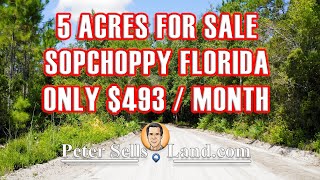 (SOLD)5 Acres FLORIDA LAND For Sale - Sopchoppy, FL -Owner Finance - PeterSellsLand.com