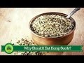 Why Should I Eat Hemp Seeds?