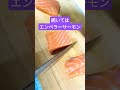 本マグロ中トロとエンペラーサーモンがリピート確定で美味すぎた