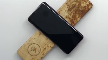 Mushroom Made Wireless Charger