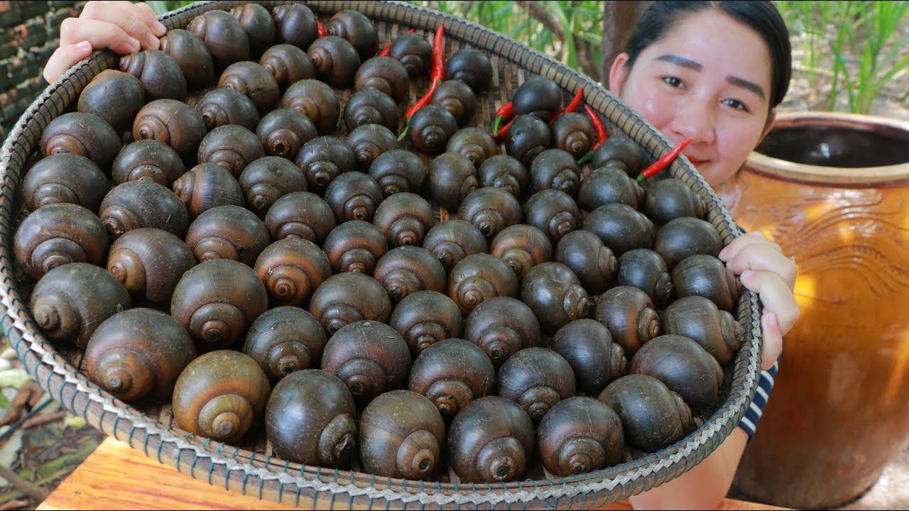 Tasty Cooking River Snail Cooking With Sros YouTube
