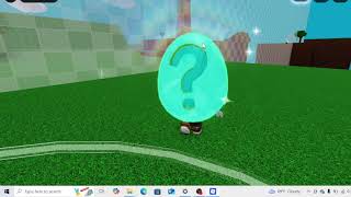 Proof to Roblox Staff on the Developer Forum that I got Roblox working on Windows 10 Build19045.6388