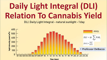 Daily Light Integral DLI Relation To Cannabis Yield