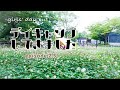 ソロキャンプ女子『episode 2.5』食べまくる!女子ふたりデイキャンプ編!