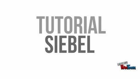 TUTORIAL SIEBEL