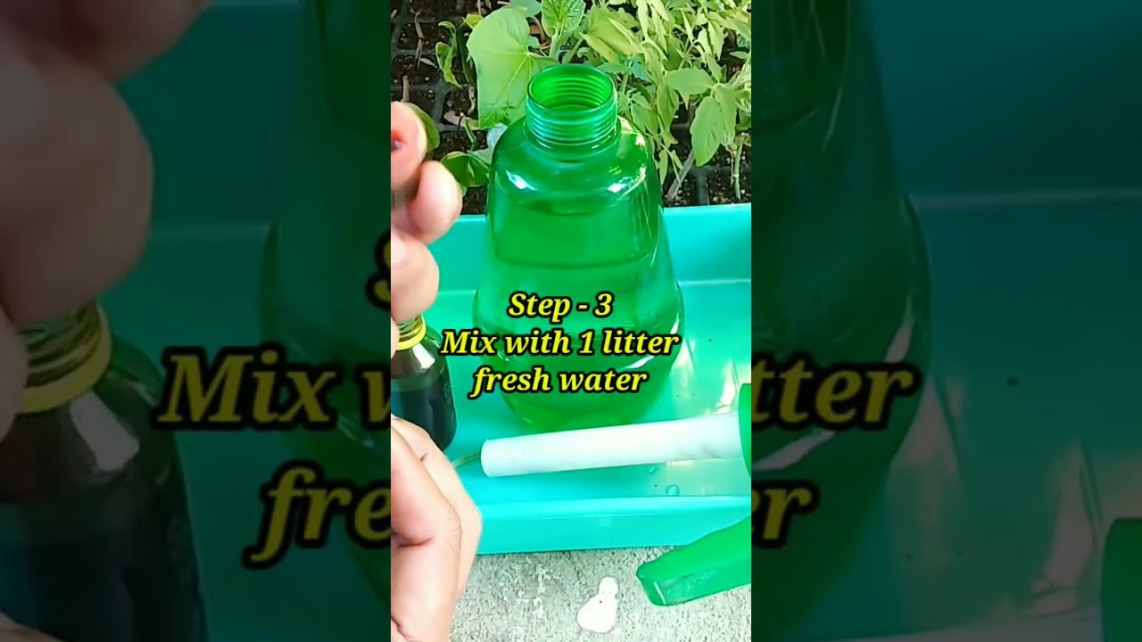 How To Use Neem Oil For Plants
