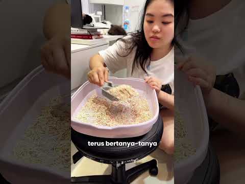 Ini yang paling sering di remehin manusia, debu di pasir tofu!!!   #pasirtofu  #animalnco #pasirkuci