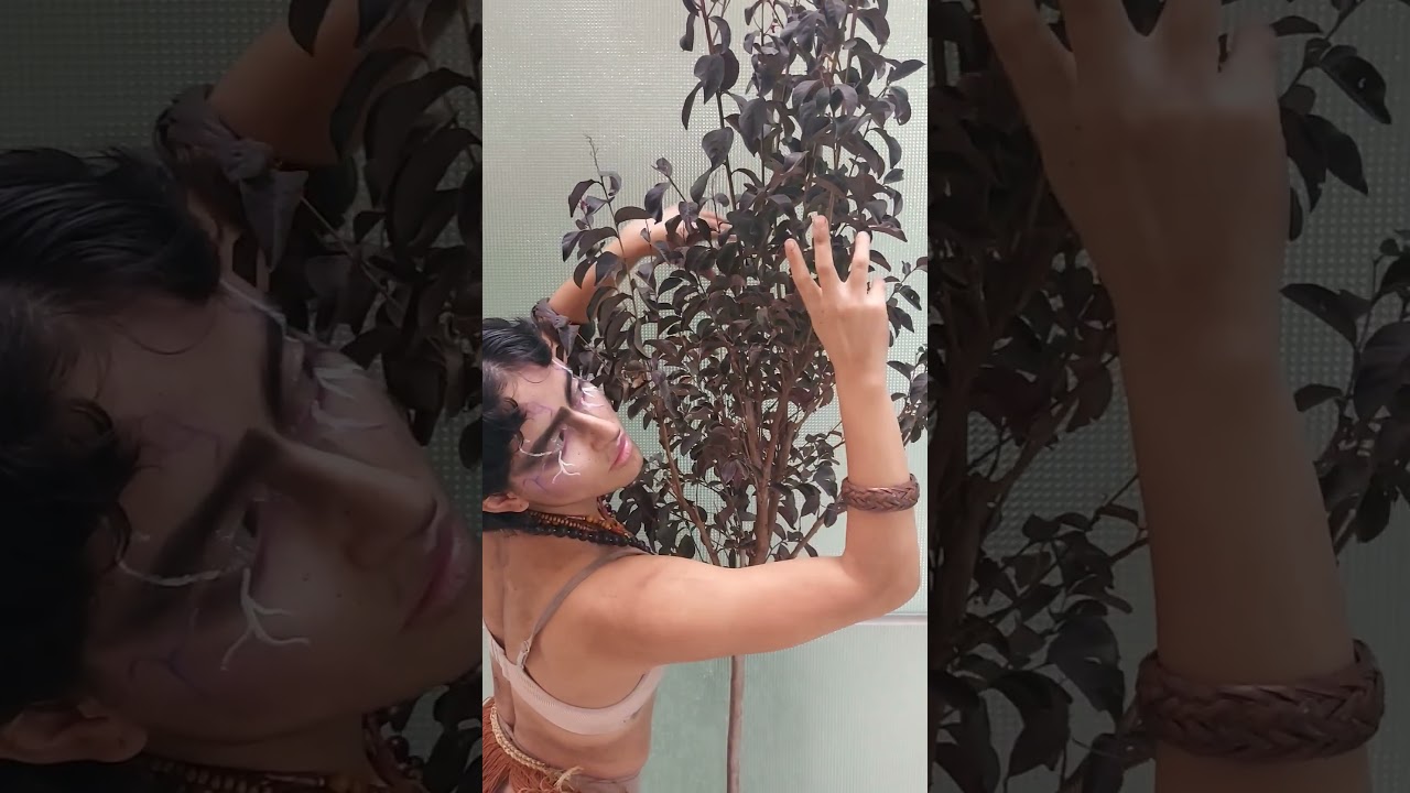 BI HEMISPHERIC ART - KARELIS & LAGERSTROEMIA 