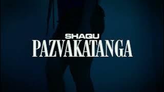 Shaqu - Pazvakatanga