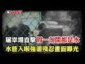 CTWANT 社會傳真 屠宰場直擊 胃一剖開都是水 水管入喉強灌殘忍畫面曝光 CTWANT 社會傳真 屠宰場直擊 胃一剖開都是水 水管入喉強灌殘忍畫面曝光