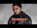 Rayvanny Ft Jay Melody Walimwengu Tupe Beat X Emotional Bongo Fleva Beat X Dancehall X Zouk Beat 