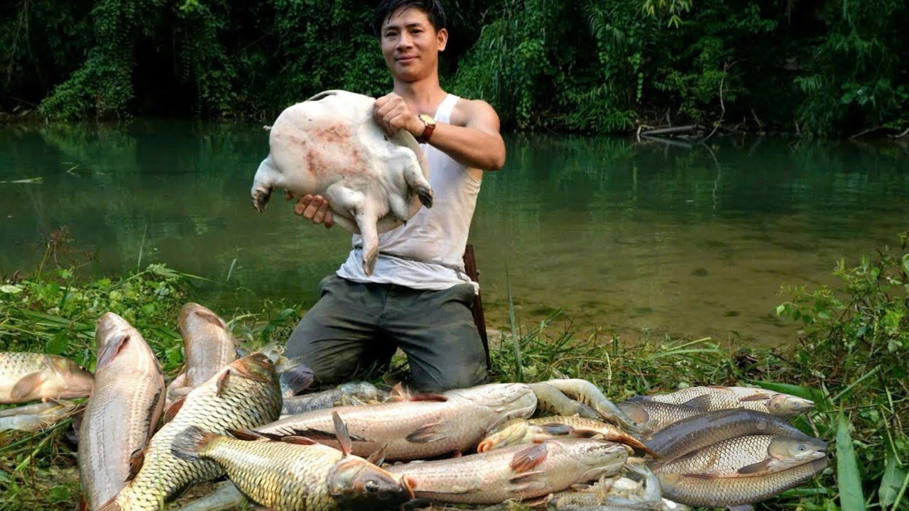 CEO leaves the city for the forest: Experience life in the wild