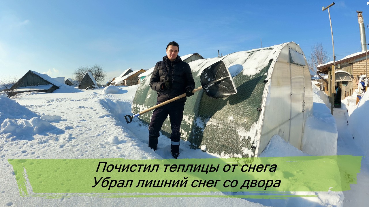 Почистил теплицы от снега . Убрал лишний снег со двора.