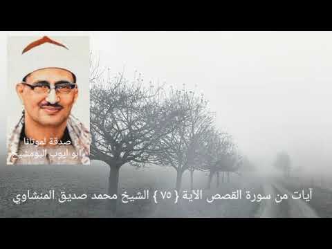 فضيلة الشيخ المنشاوي ونزعنا من كل أمة شهيدا فقلنا هاتوا برهانكم سورة القصص ٧٥