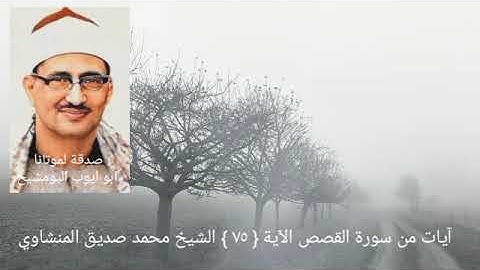 فضيلة الشيخ المنشاوي _ ونزعنا من كل أمة شهيدا فقلنا هاتوا برهانكم _ سورة القصص ٧٥