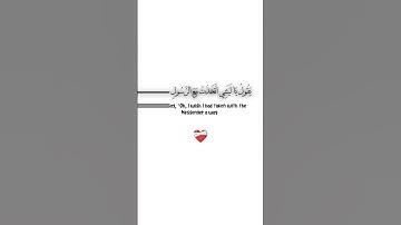 ويوم يعض الظالم على يديه ✨سورة الفرقان ✨ محمد اللحيدان ✨ كروما قرآن كريم خلفية بيضاء white ground 🤍