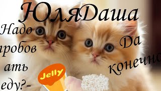 пробуем разную еду 🥘 #рек #дашка #юля #еда #cat #тренды