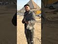 كل اللي ماشي علي التراب تراب ورب الكون احمد موزة السلطان كل اللي ماشي علي التراب تراب ورب الكون احمد موزة السلطان