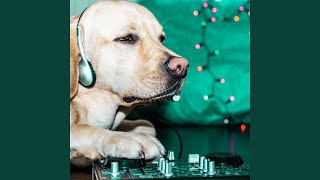 Ambient Music Flow Harmonic