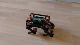 Muamp Pico Python Dog Robot