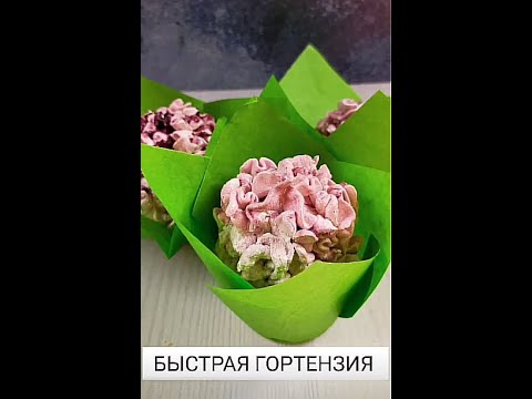 ЗЕФИРНАЯ ГОРТЕНЗИЯ  Быстрый Способ