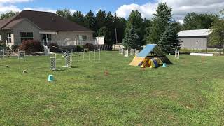 USDAA Agility #2