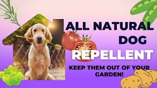 The BEST Dog Repellent For Your Garden! #garden #diy #dog #dogs #homestead #homesteading